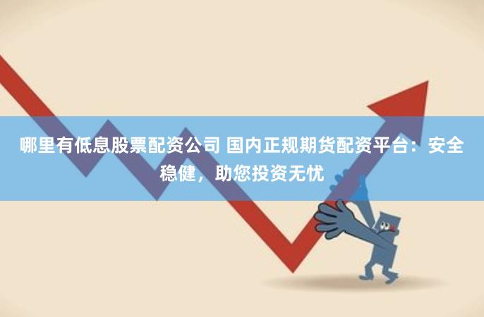 哪里有低息股票配资公司 国内正规期货配资平台：安全稳健，助您投资无忧