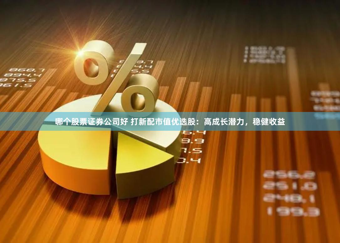哪个股票证券公司好 打新配市值优选股：高成长潜力，稳健收益